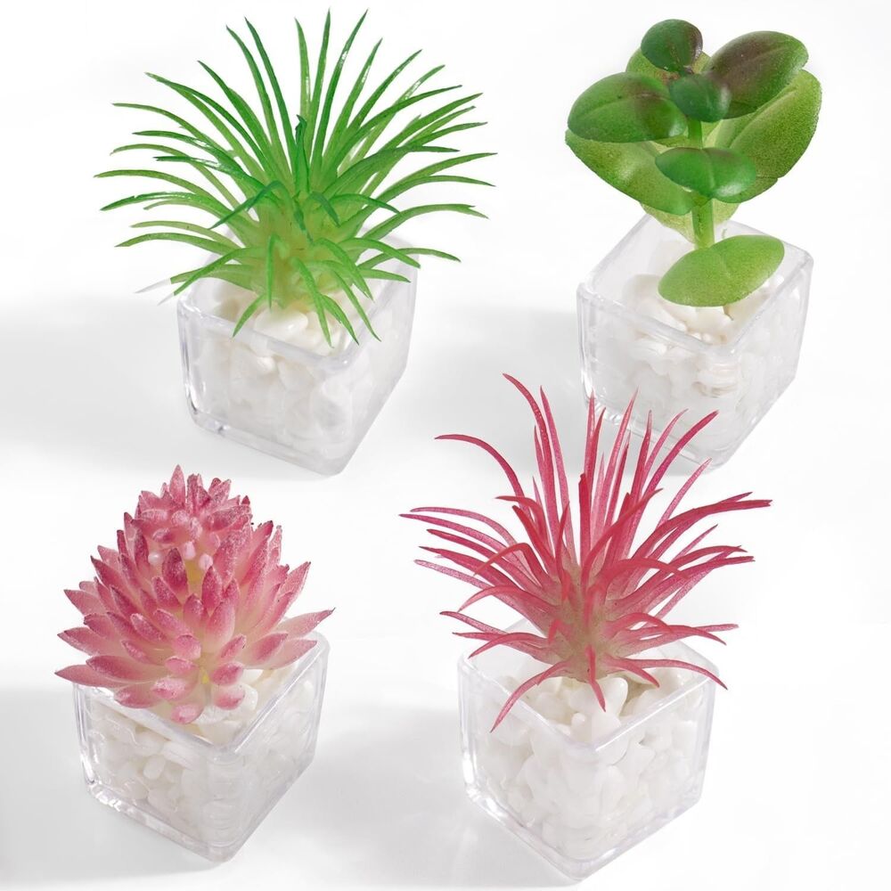 4PCS Plant Locker & Fridge Magnets, Cute 3D Succulent Decorative Magnets for Ref